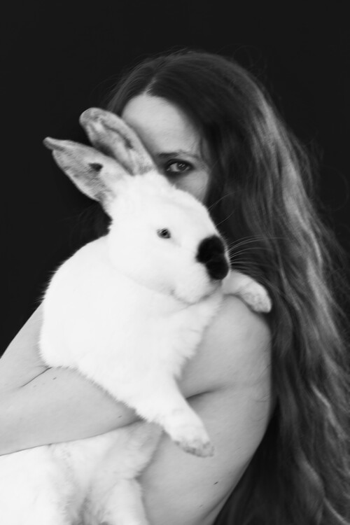 Poster Rabbit Portrait Fashion Model Poster