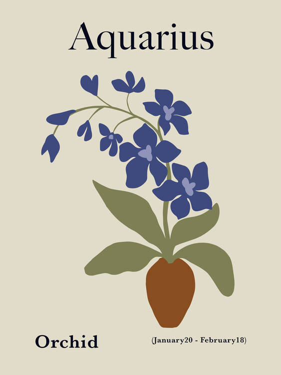 Принти на полотні Aquarius Orchid Bloom