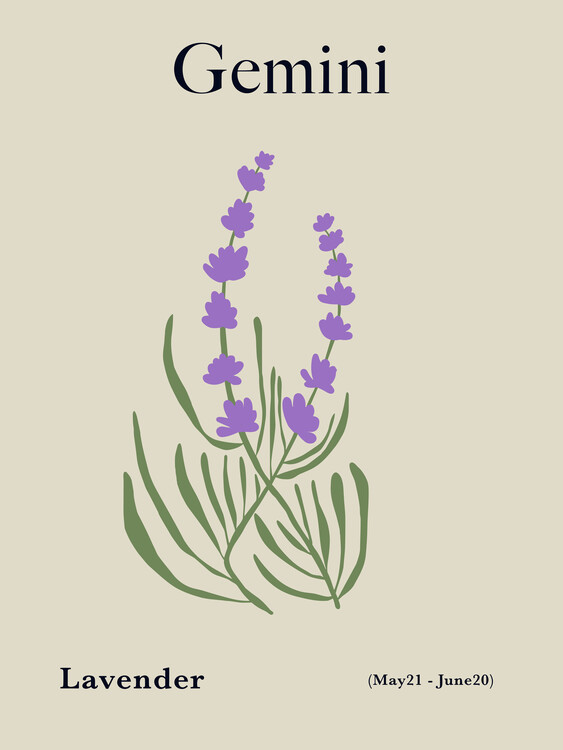 Poster Gemini Birth Flower
