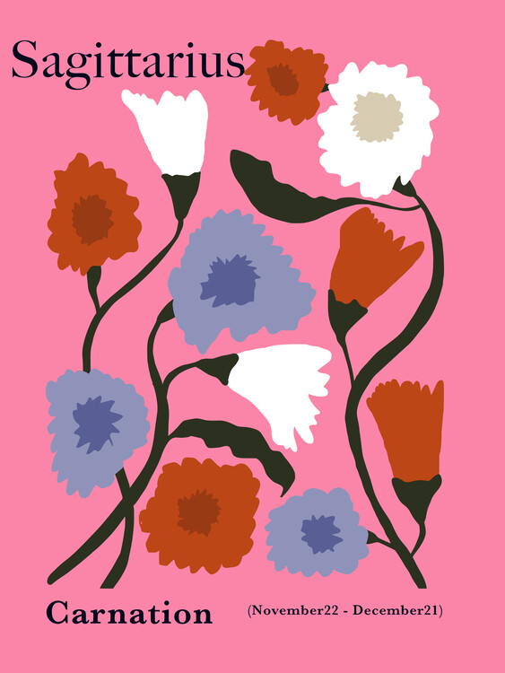 Poster Sagittarius Carnation Blooms