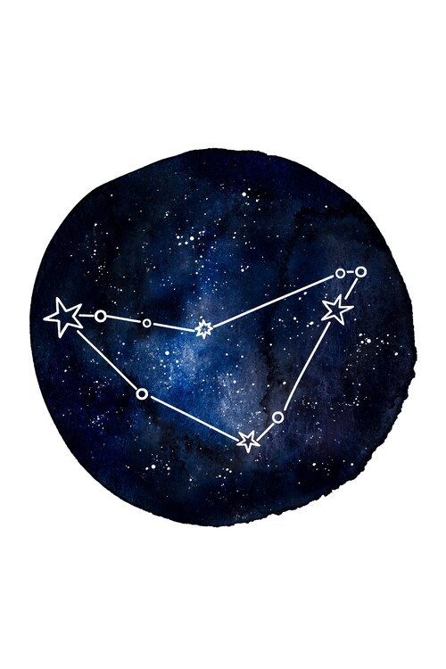 Принти на полотні Starry Capricorn Constellation
