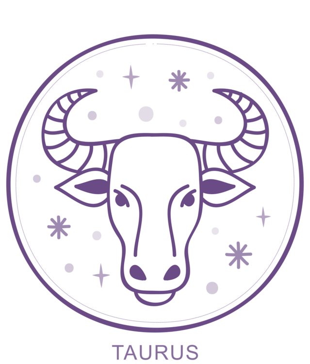 Футболка Mystic Taurus