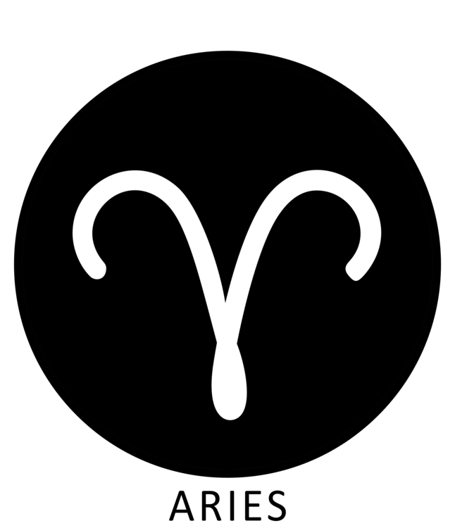 Футболка Minimal Aries