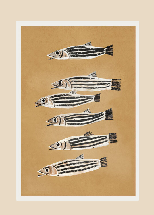 Плакат Minimal Fish Study