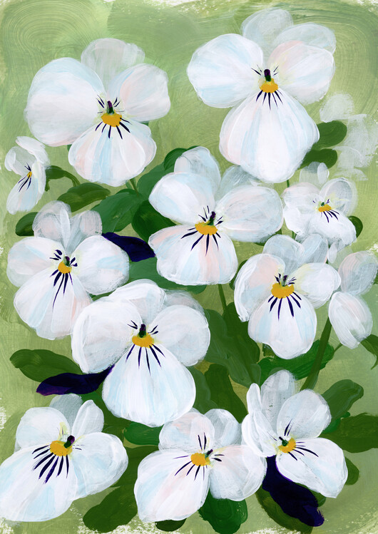 Poster Vesta Pansies II