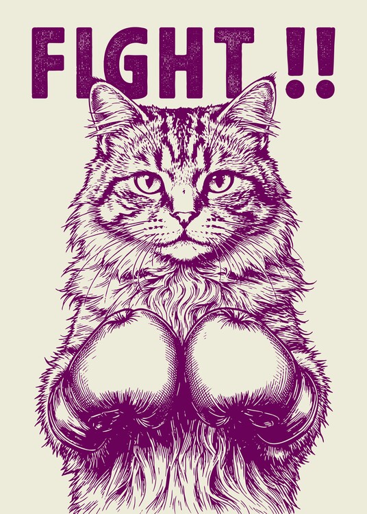 Plakát Fight!! The Champion Boxing Cat