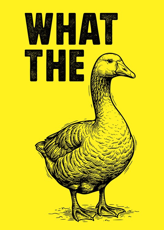 Plakát What The Duck - Funny Vintage Animal poster