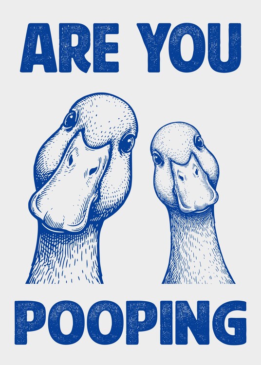Plakát Funny Ducks Are You Pooping Bathroom Wall Art