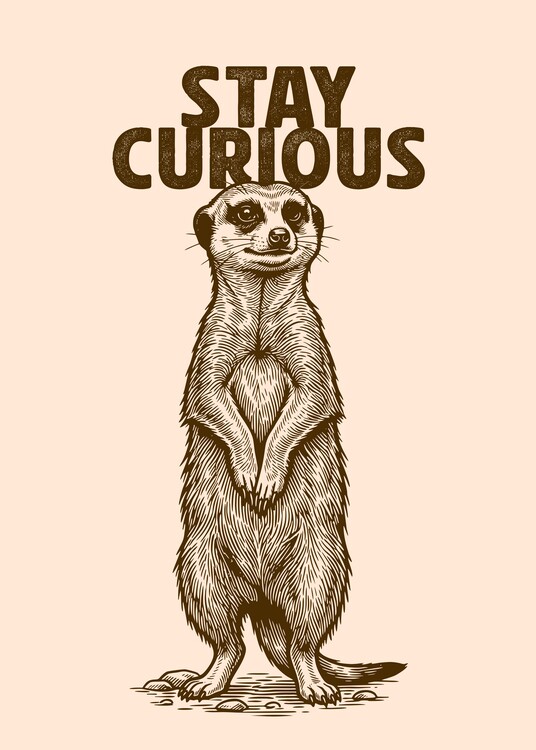 Poster Stay Curious - Vintage Meerkat Minimalist Art