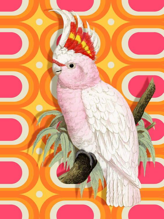 Poster Pink Cockatoo Retro Pop