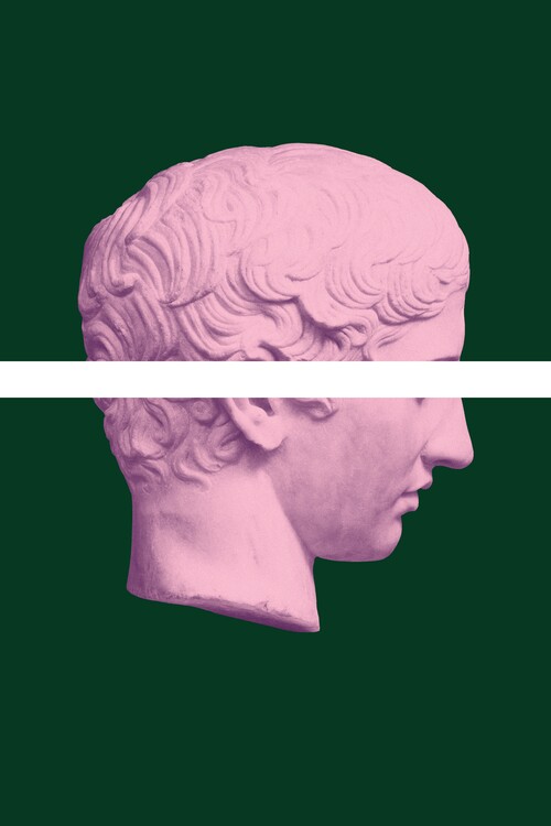 Poster Abstract Pink Bust