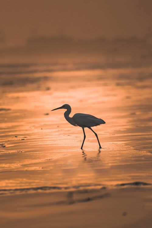 Плакат Stillness