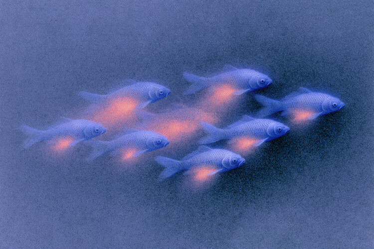 Plakat Dreamy Neon Koi Fish Aquarium Art