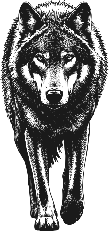 Tričko Lone Wolf Spirit
