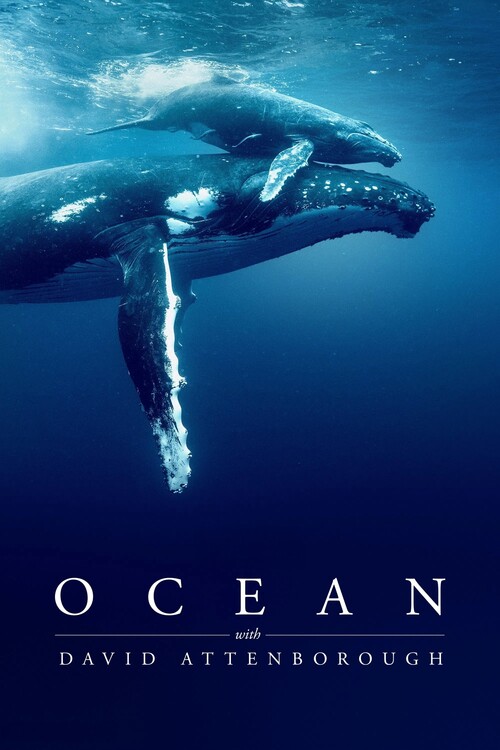 Плакат Ocean with David Attenborough (2025)