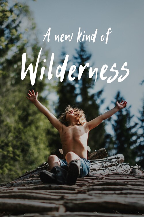 Плакат A New Kind of Wilderness (2024)