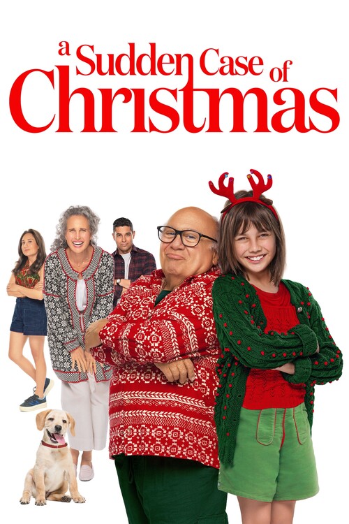 Плакат A Sudden Case of Christmas (2024)