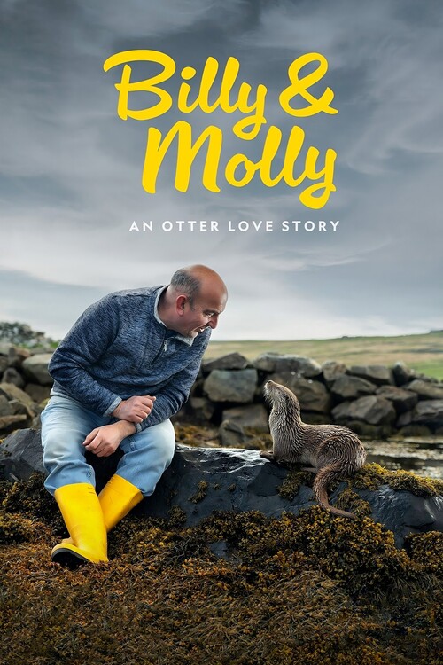 Плакат Billy & Molly An Otter Love Story (2024)