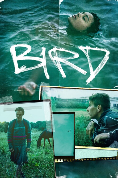 Плакат Bird (2024)