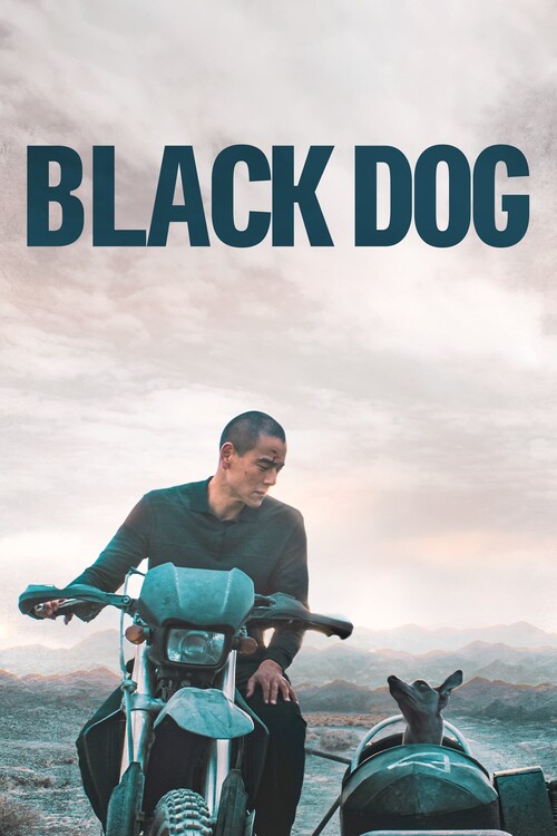 Плакат Black Dog (2024)
