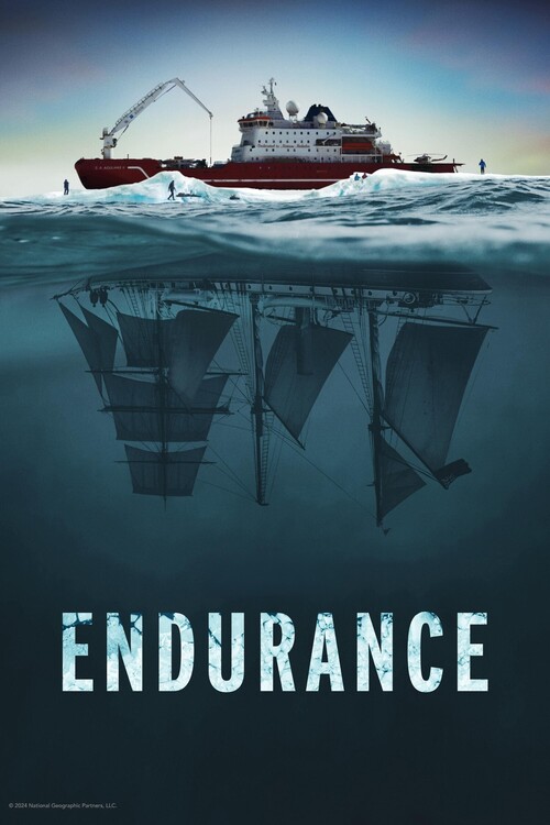 Плакат Endurance (2024)