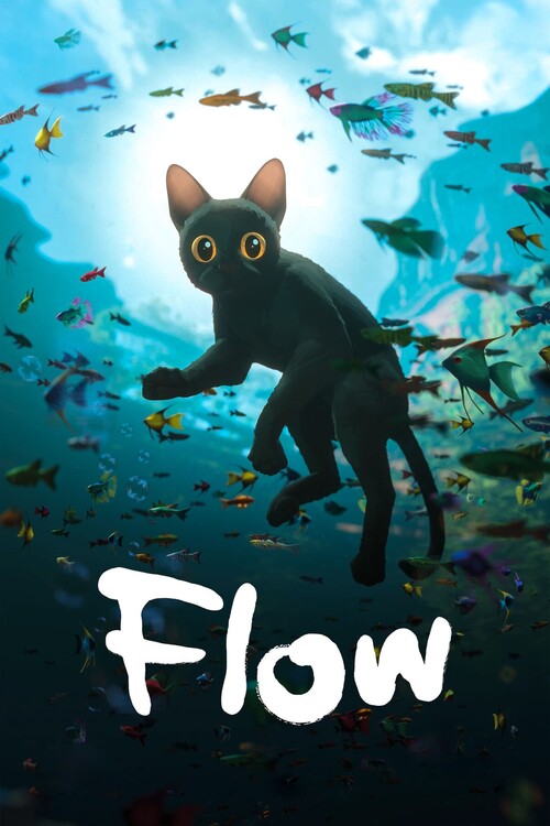 Плакат Flow (2024)