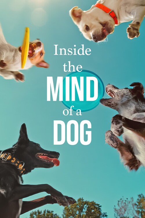 Плакат Inside the Mind of a Dog (2024)