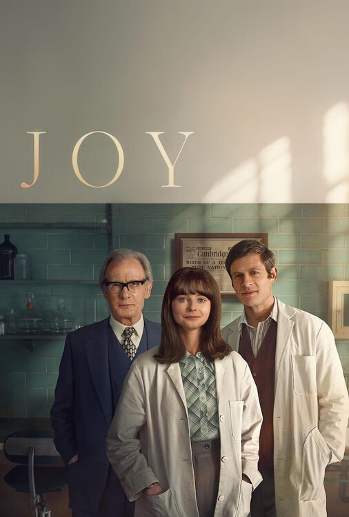 Плакат Joy (2024)