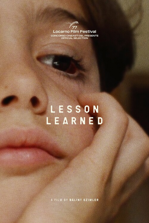 Плакат Lesson Learned (2024)