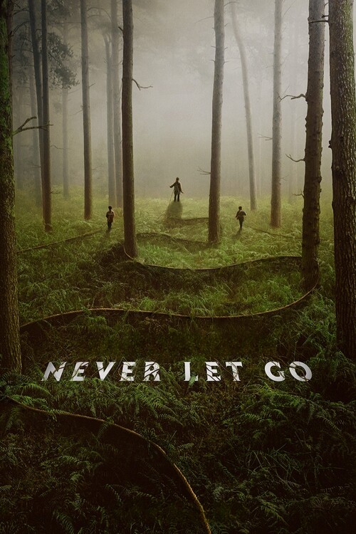 Плакат Never Let Go (2024)