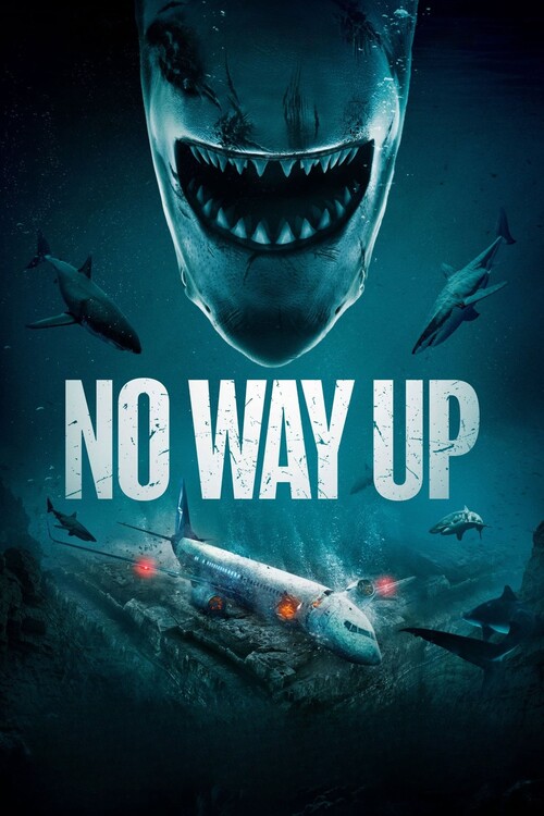 Плакат No Way Up (2024)
