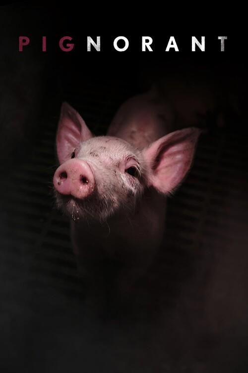 Плакат Pignorant (2024)