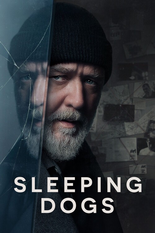 Плакат Sleeping Dogs (2024)