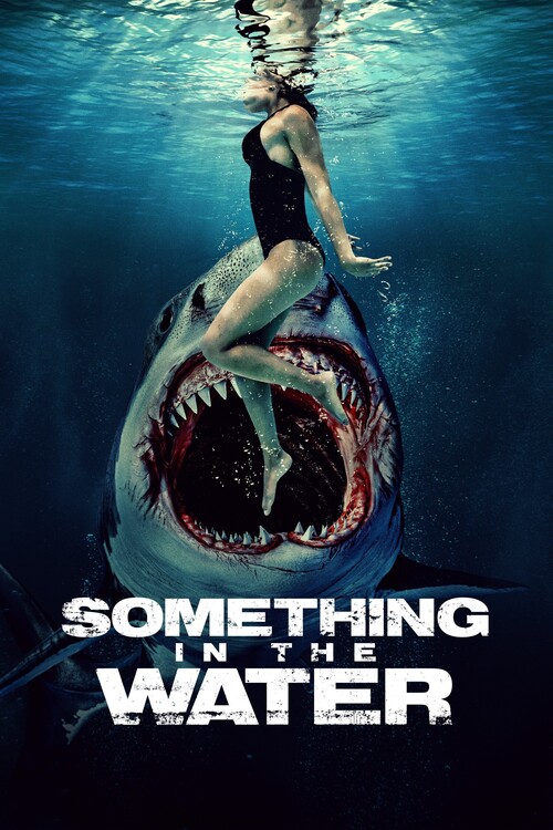 Плакат Something in the Water (2024)