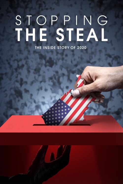 Плакат Stopping the Steal (2024)