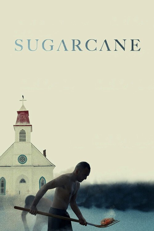 Плакат Sugarcane (2024)
