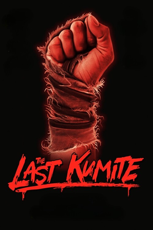 Плакат The Last Kumite (2024)