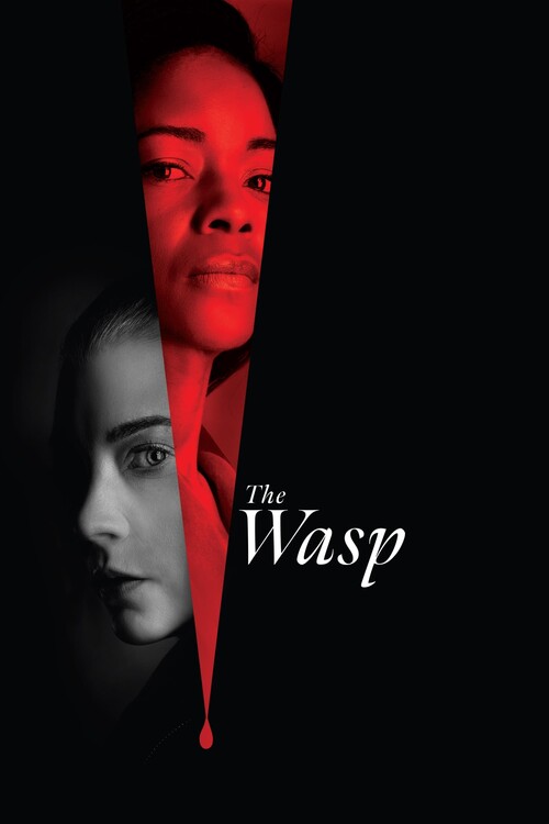 Плакат The Wasp (2024)