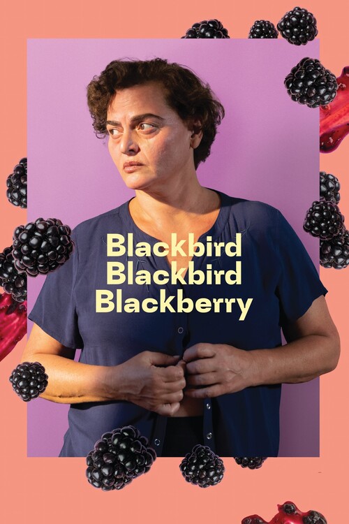 Плакат Blackbird Blackbird Blackberry (2023)