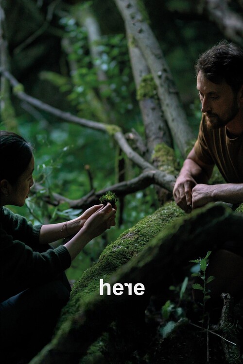 Плакат Here (2024)