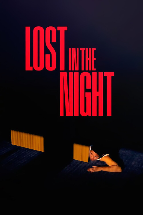 Плакат Lost in the Night (2023)
