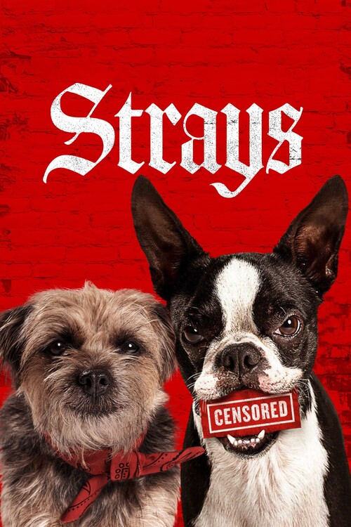 Плакат Strays (2023)