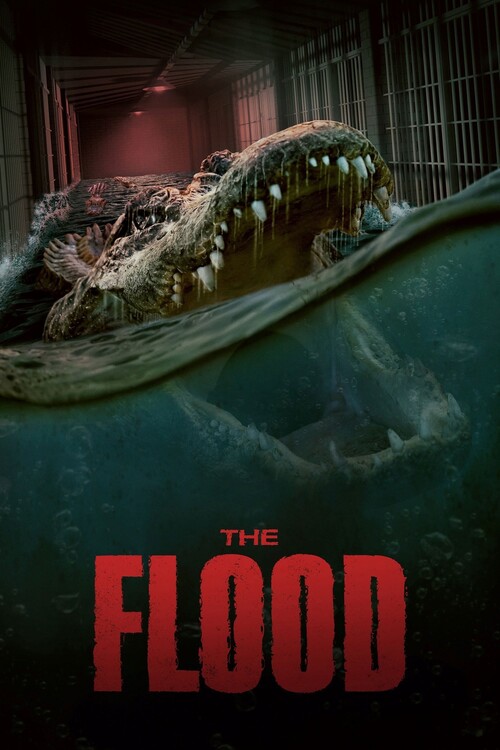 Плакат The Flood (2023)