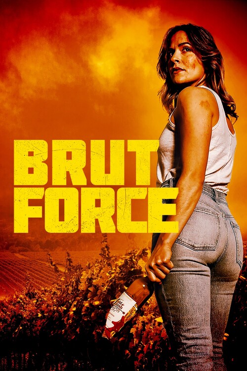 Плакат Brut Force (2022)