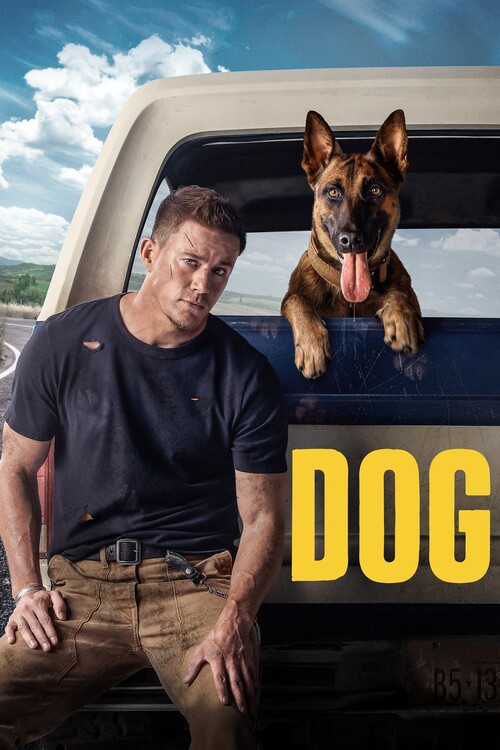 Плакат Dog (2022)