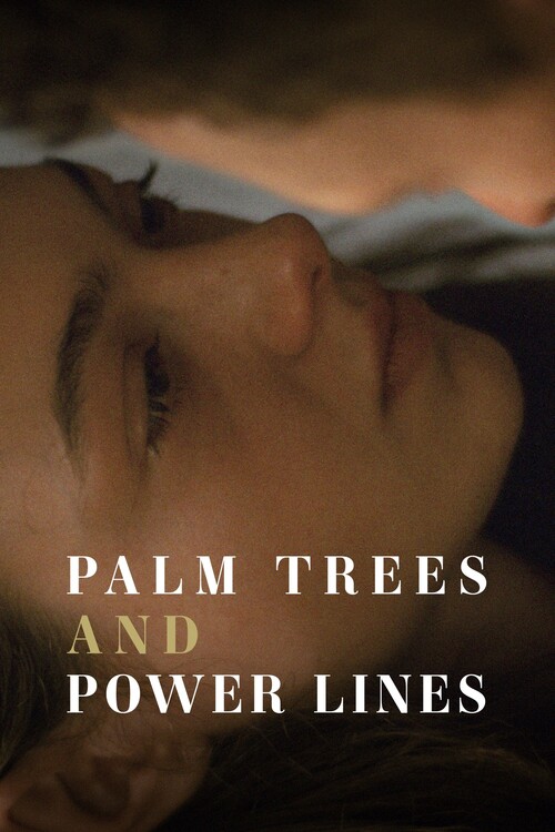 Плакат Palm Trees and Power Lines (2023)