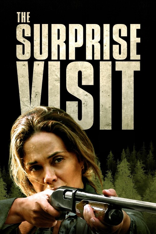 Плакат The Surprise Visit (2022)