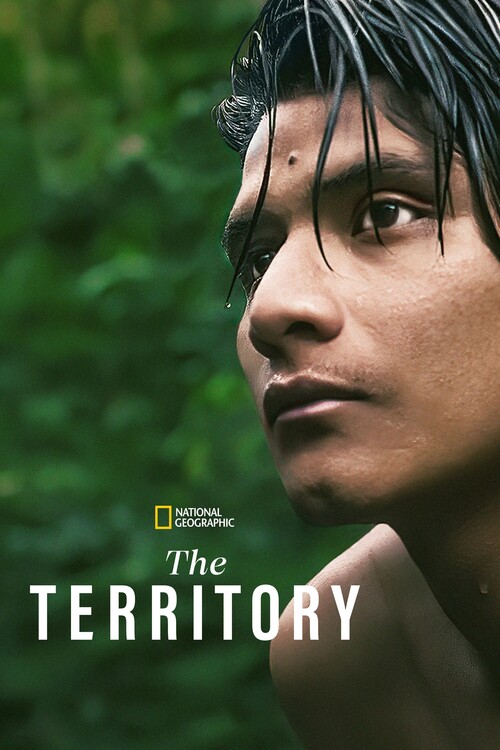 Плакат The Territory (2022)