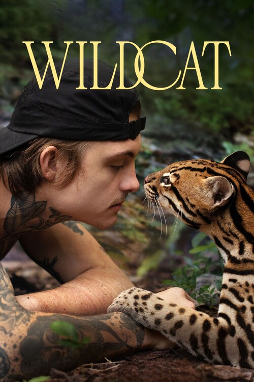 Плакат Wildcat (2022)