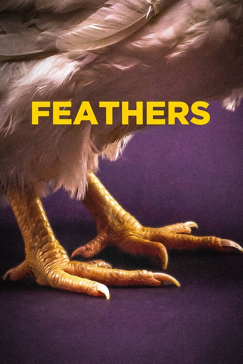 Плакат Feathers (2021)